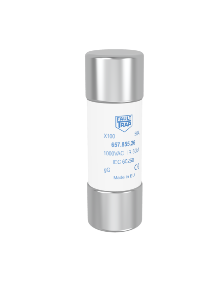 Fuse 1000VAC gG 40A 22x65mm